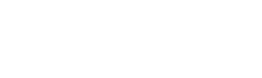 Swing Society